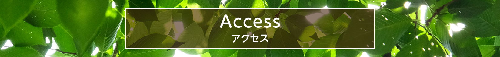 アクセス